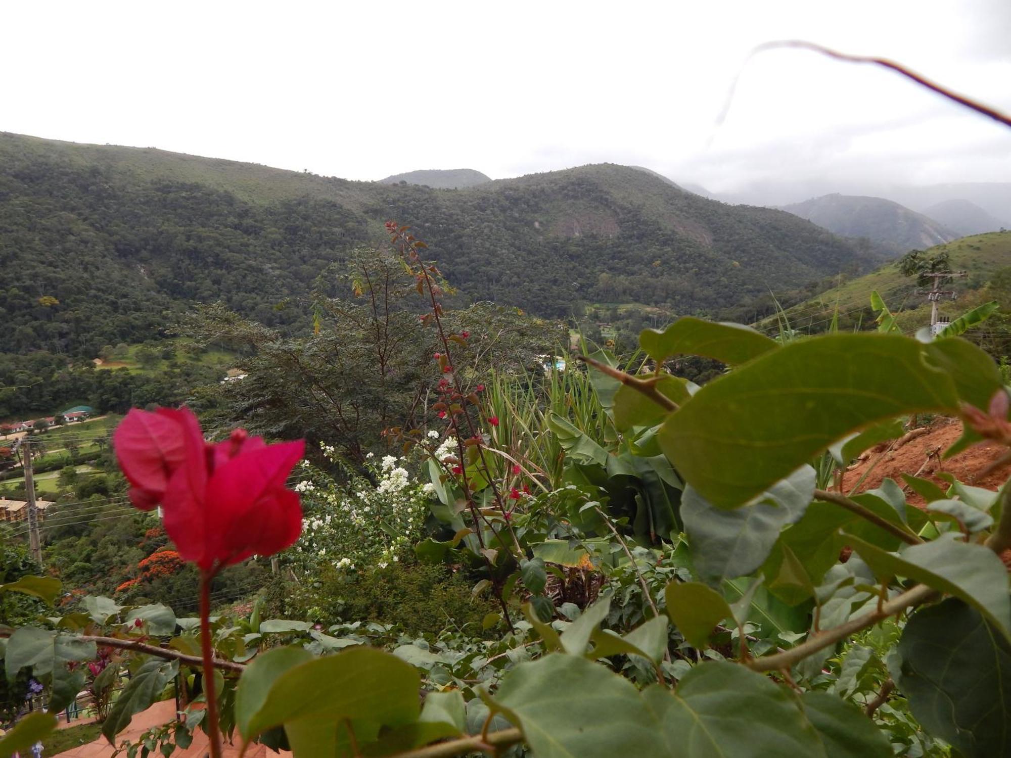 Pousada Quinta Do Alto Itaipava Cameră foto